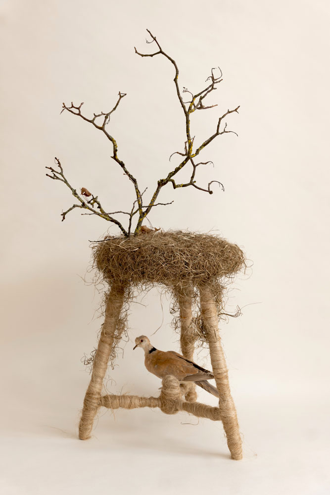 Exposition : Le rêve de l’Arbre, Armelle BLARY