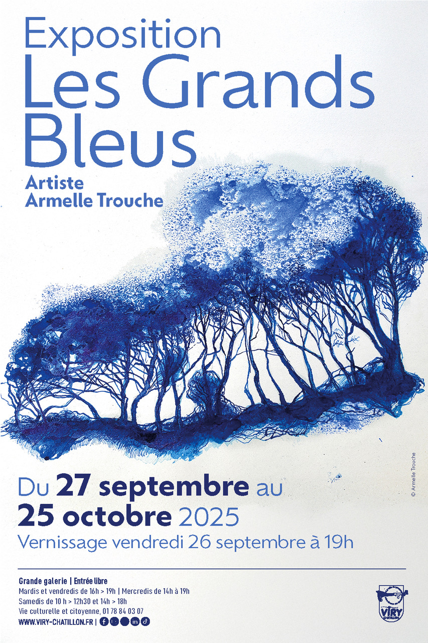 Exposition : Les Grands Bleus, Armelle Trouche