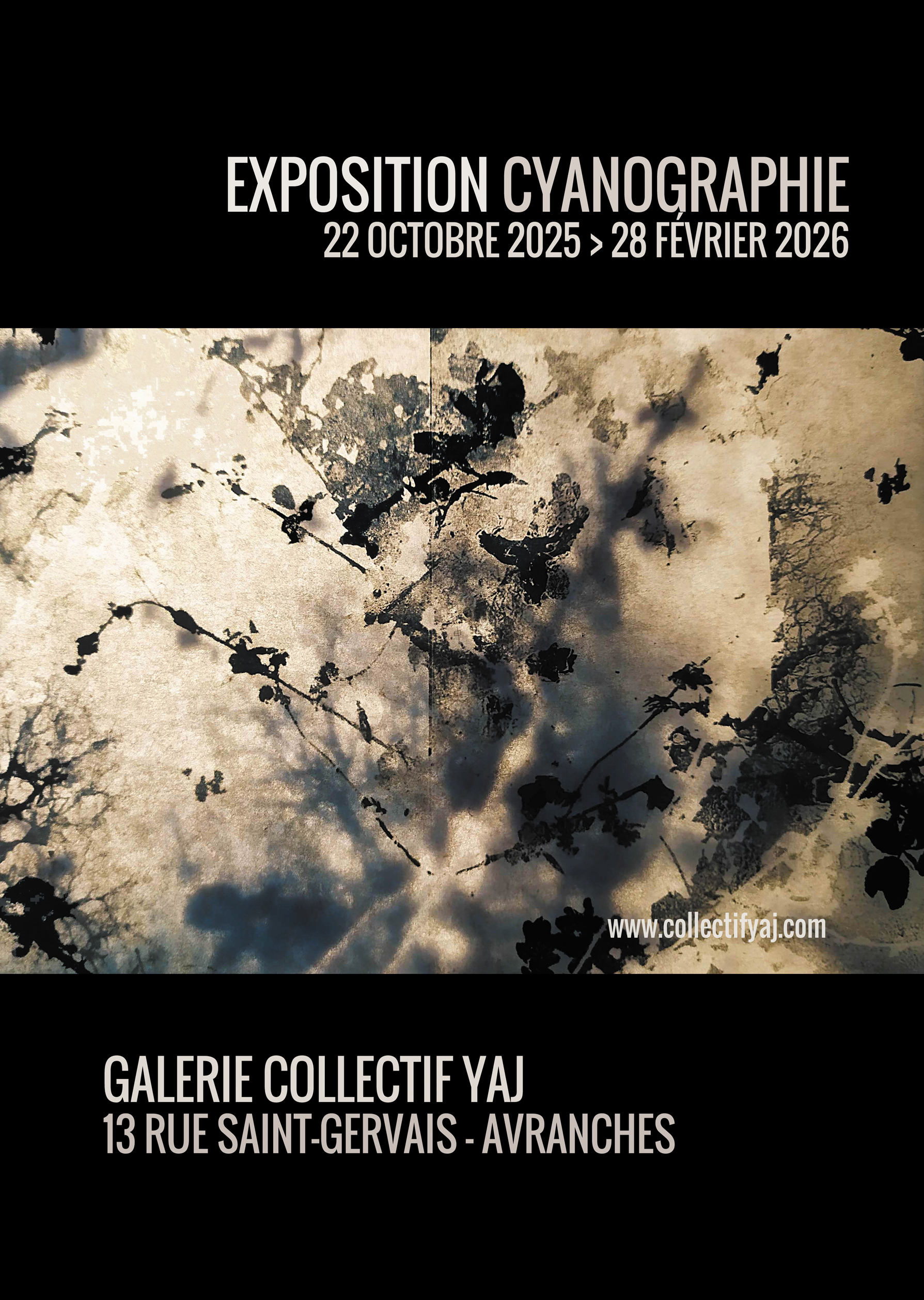 Exposition : Cyanographie, Emilie Detoc