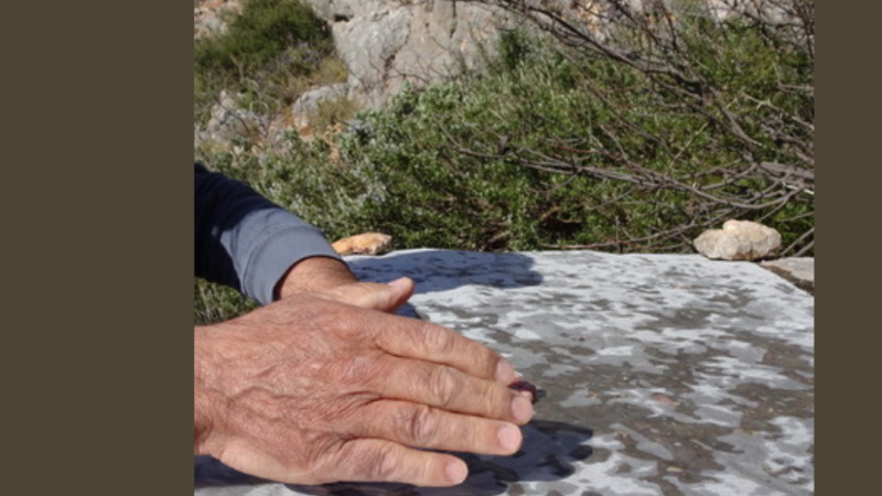 Glaner, marcher, disparaître : entretien avec Denis Gibelin