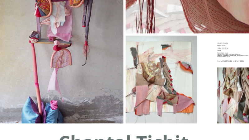Portfolio : Chantal Tichit