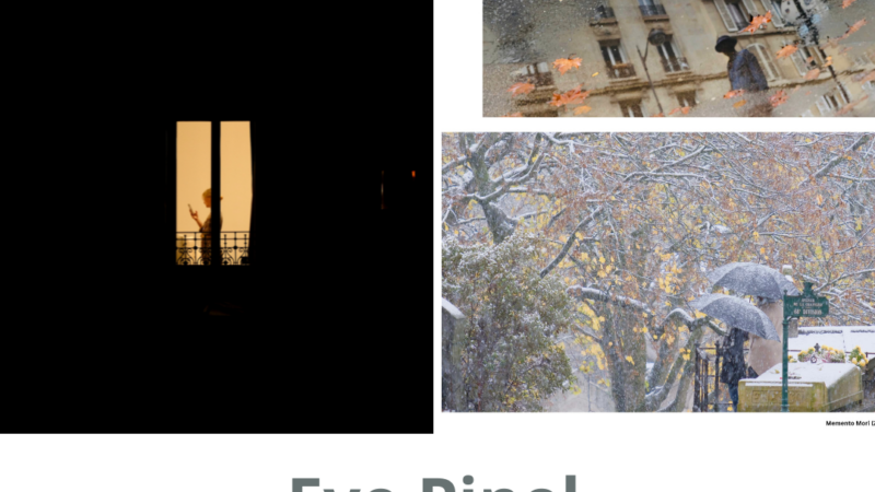 Portfolio : Eve Pinel – Artiste photographe, arpenteuse de bitume