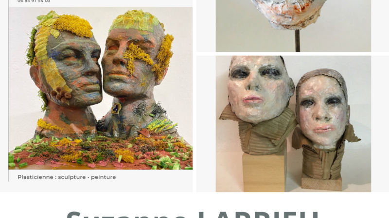 Portfolio : Suzanne Larrieu