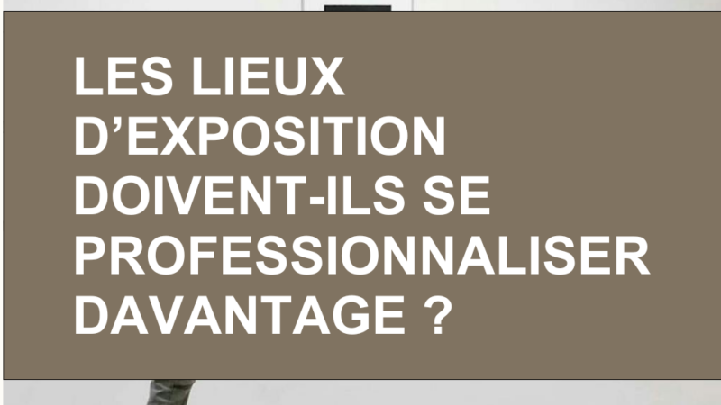 Les lieux d’exposition doivent-ils se professionnaliser davantage ?