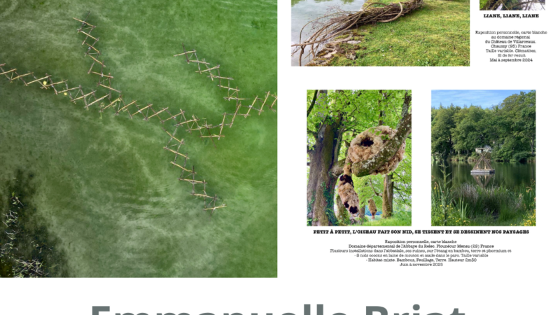 Portfolio : Emmanuelle Briat