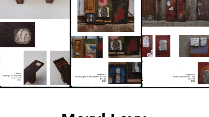 Portfolio : Meryl Levy