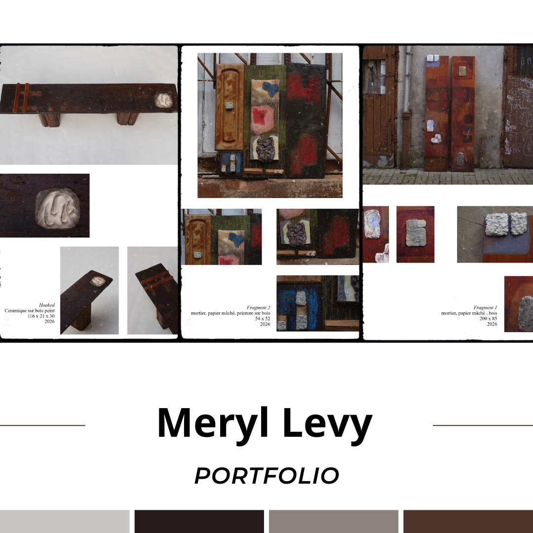 Portfolio : Meryl Levy