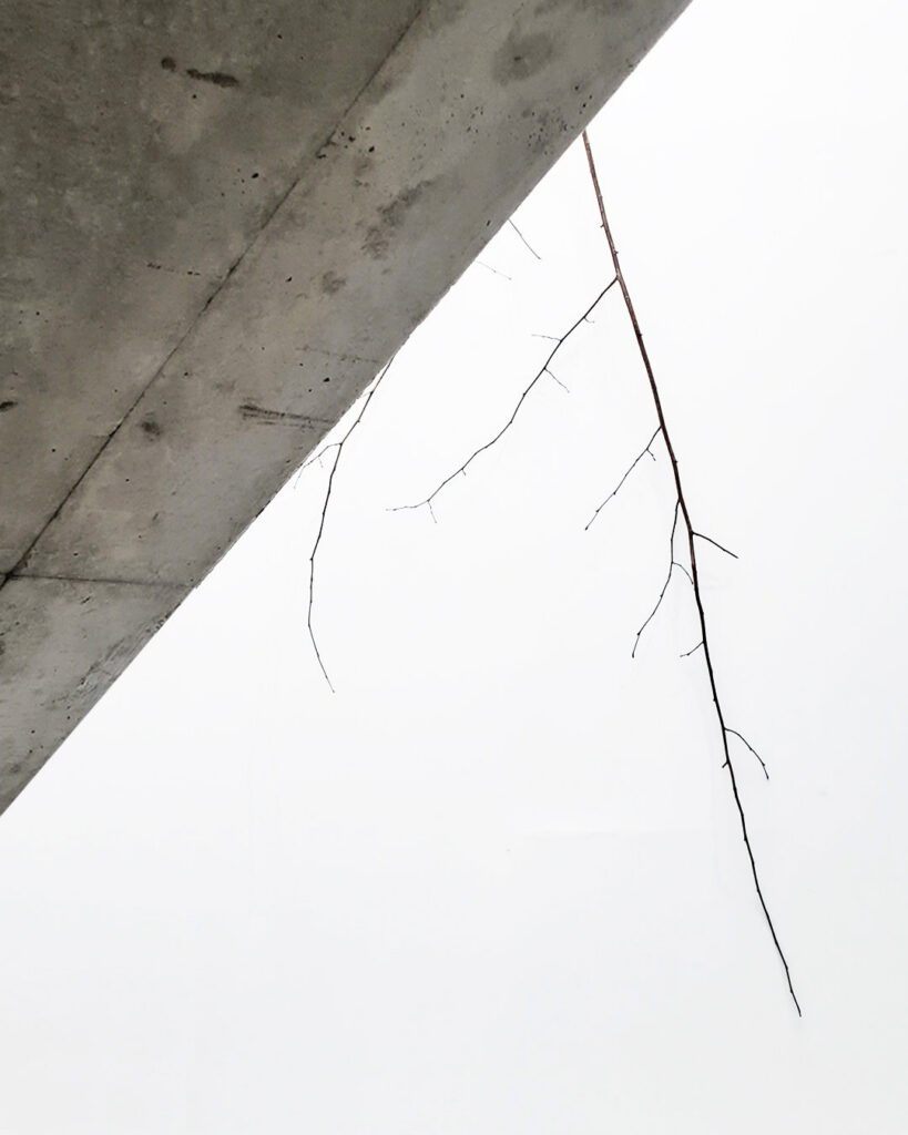 BRANCHES.1, Jean-Michel Tarallo