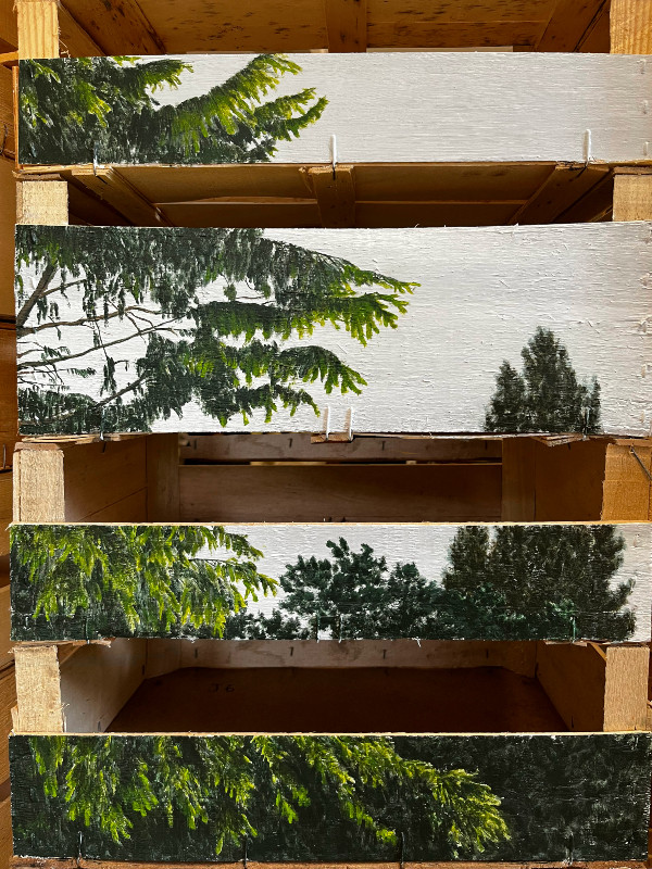 CAGETTES, Installation in situ de Mathieu Arfouillaud