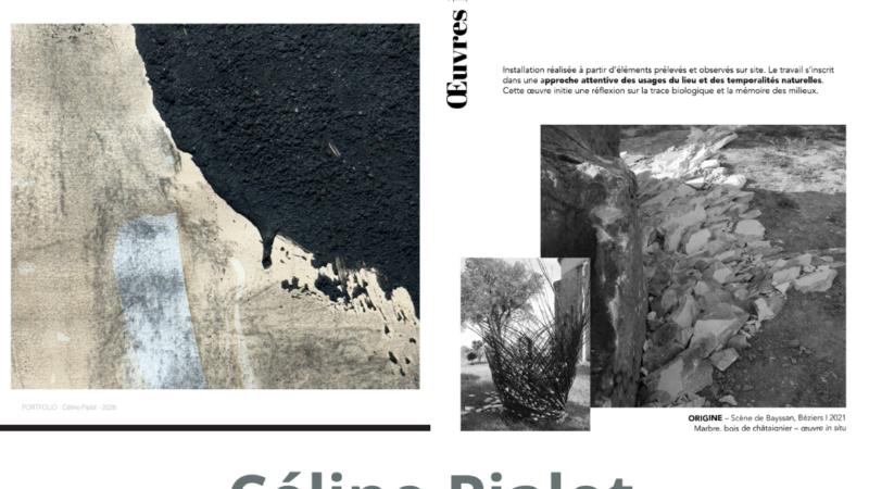 Portfolio : Céline Pialot