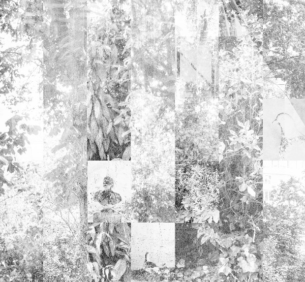 Installation in situ : A l’image du jardin – Luca Nicolao