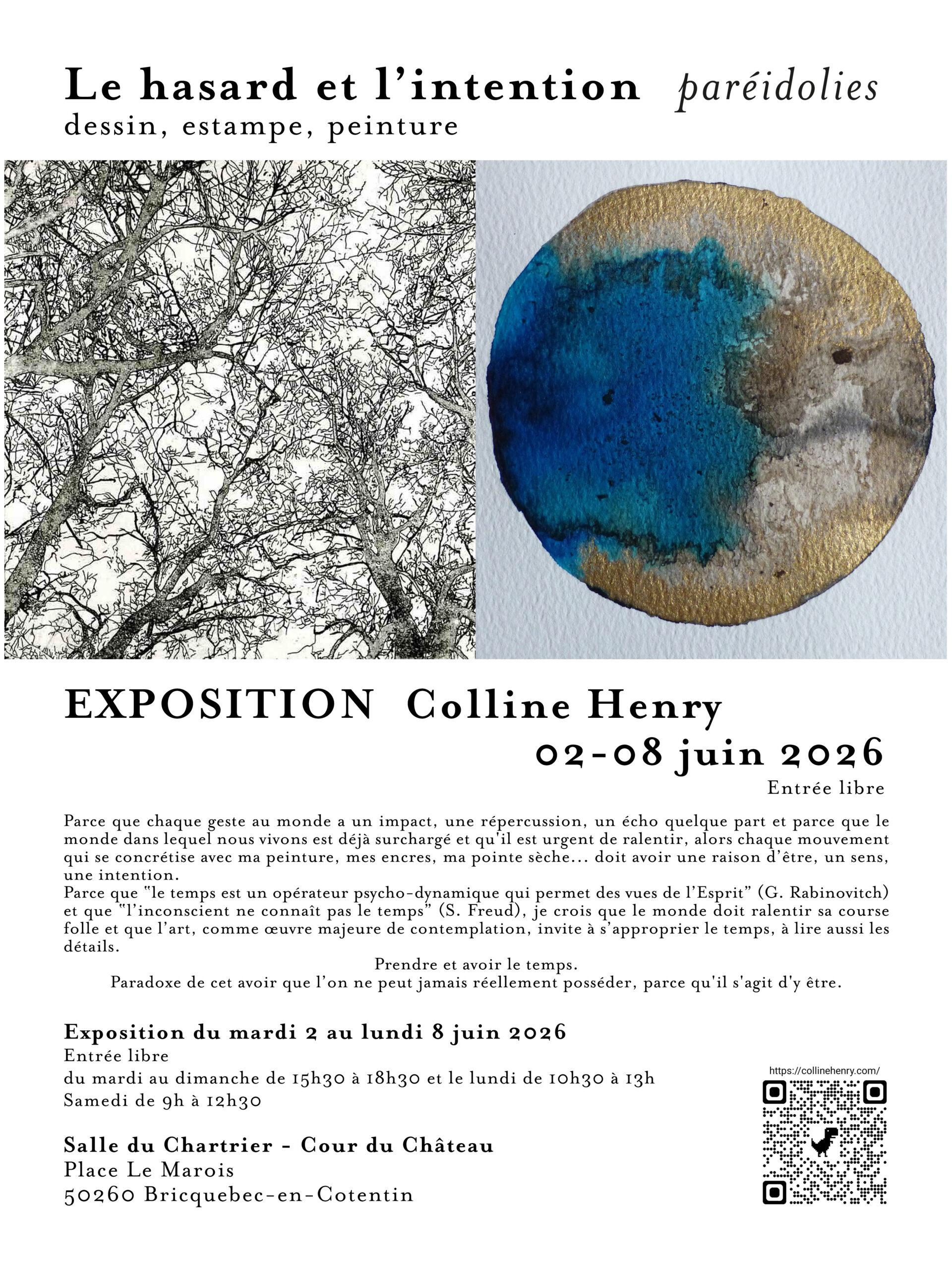 Exposition : Le Hasard et l'intention, paréidolies - Colline Henry