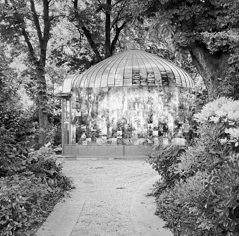 Installation in situ : A l'image du jardin - Luca Nicolao