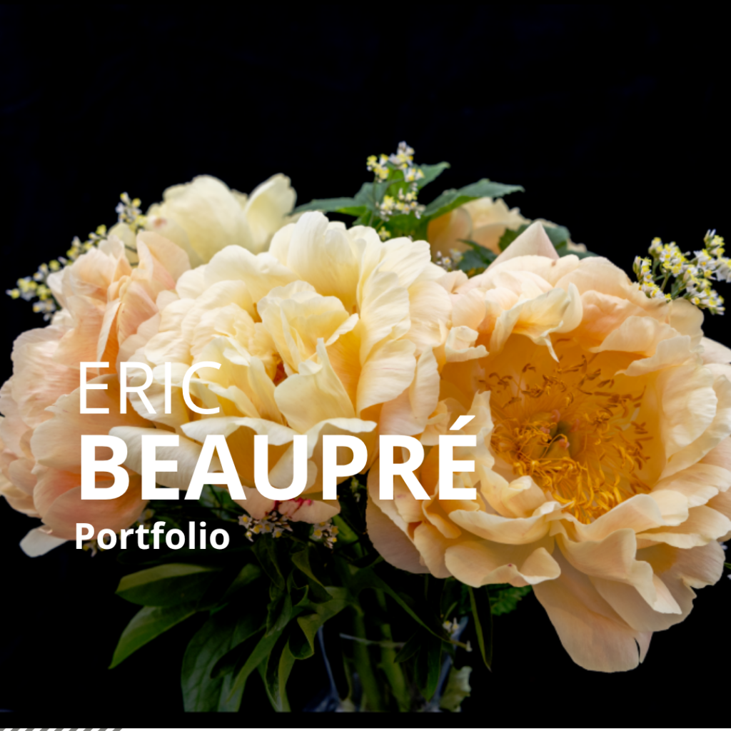 Portfolio : Eric Beaupré