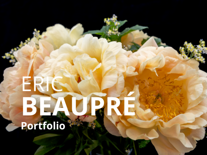 Portfolio : Eric Beaupré