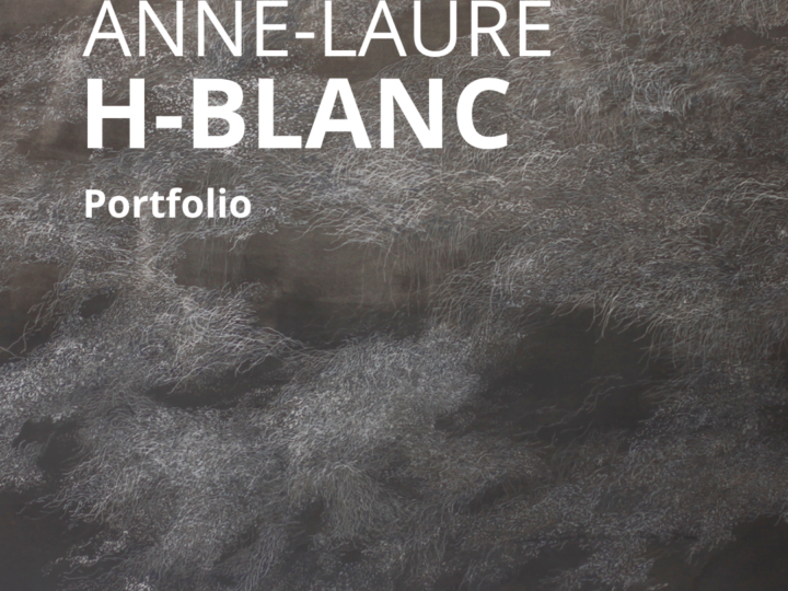 Portfolio : Anne-Laure H-Blanc