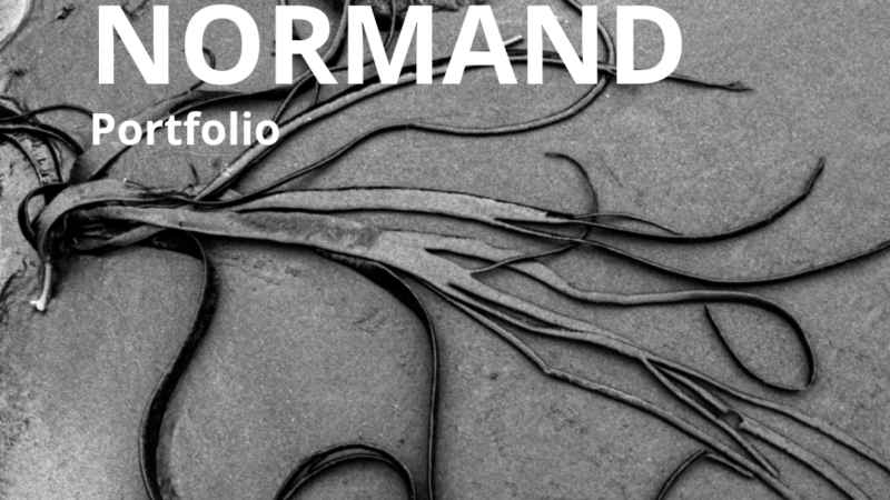 Portfolio : Benjamin Normand