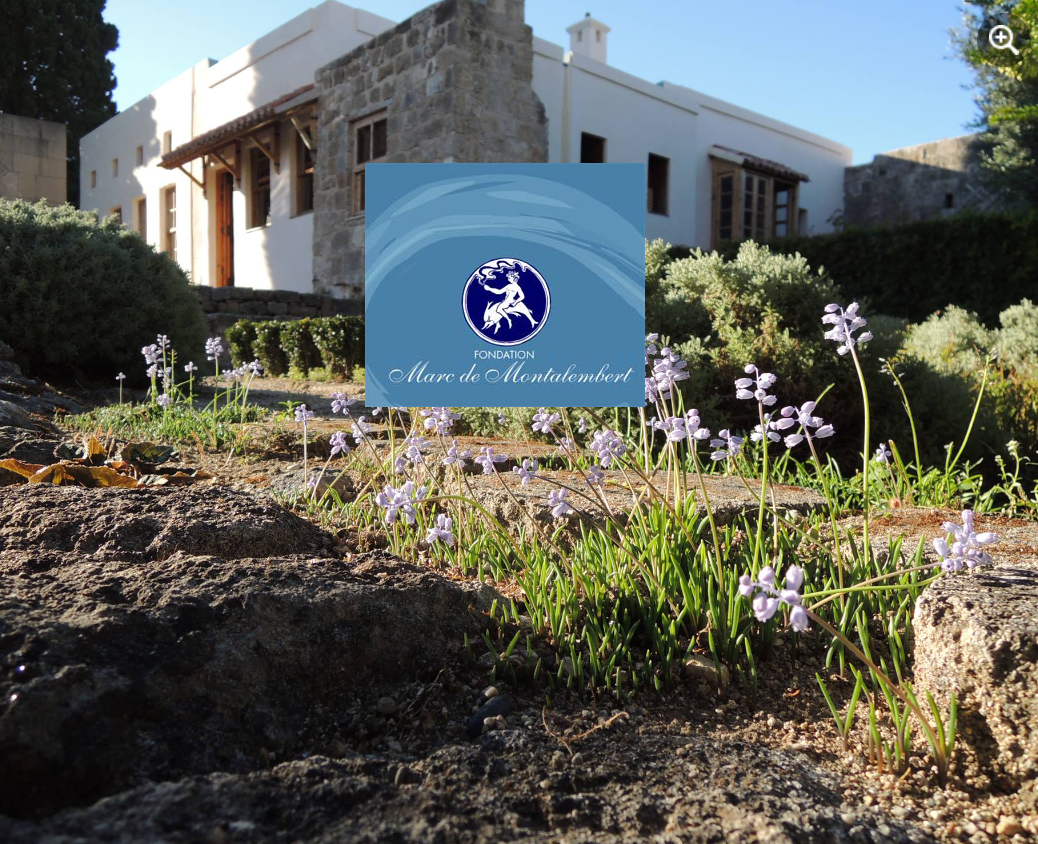 Appel à candidatures : Bourse de la Fondation Marc de Montalembert