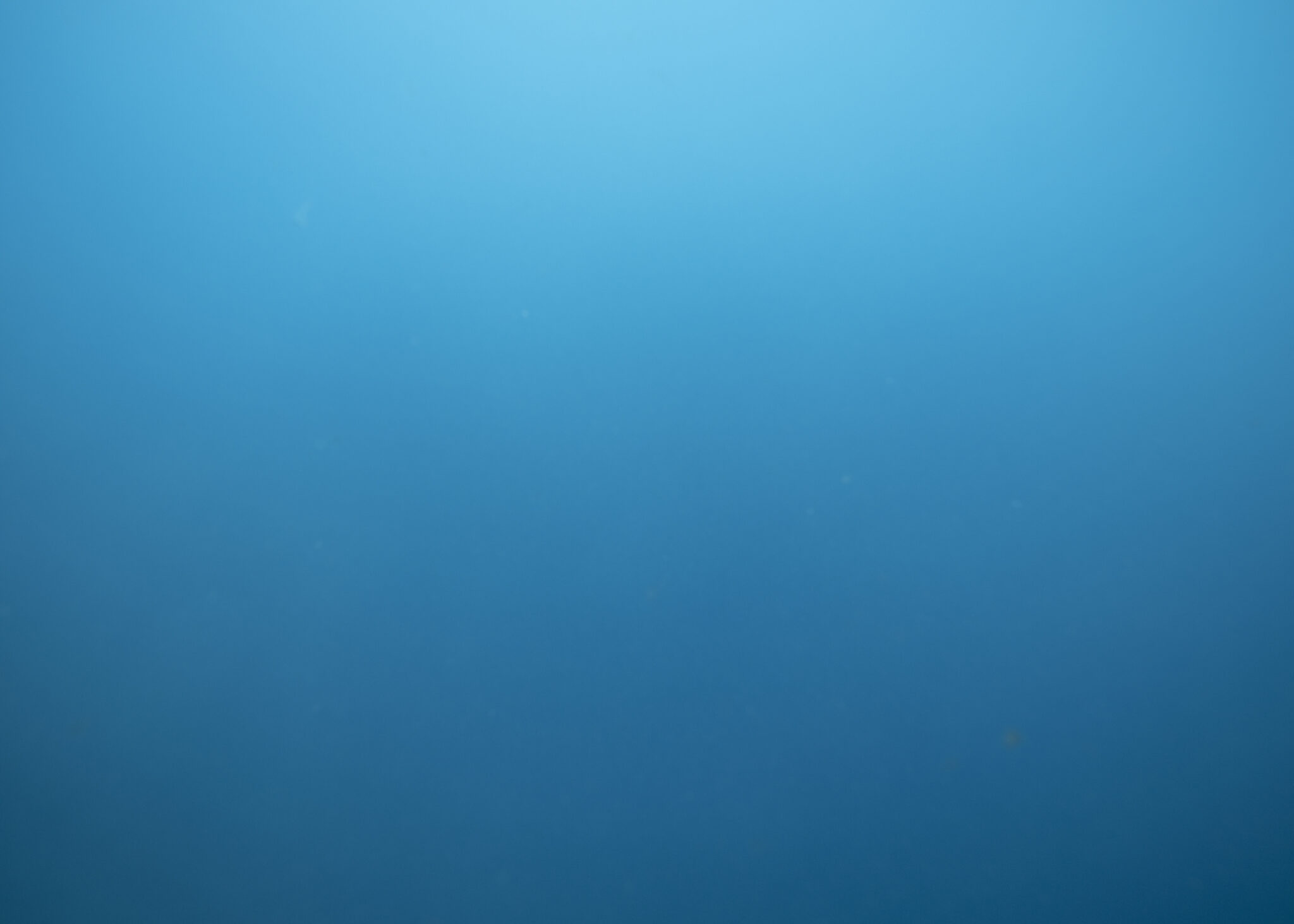 Appel à candidatures : Prix Coal 2025