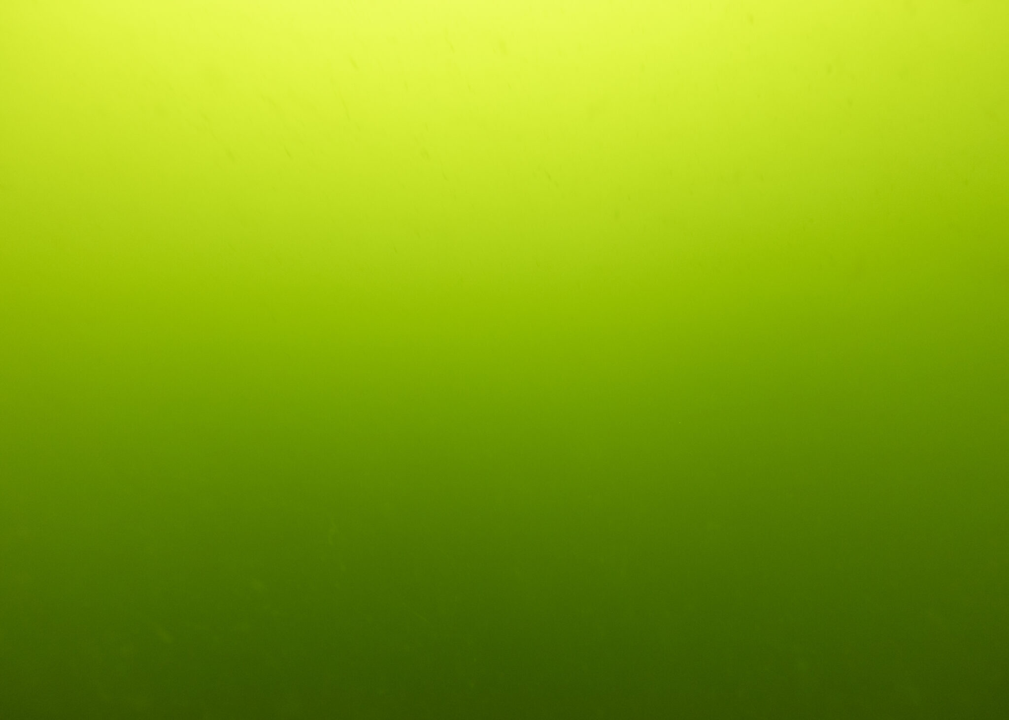 Appel à candidatures : Prix Coal Etudiant 2025