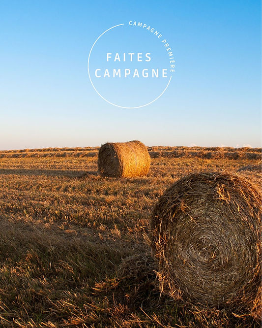 Appel à candidatures : Résidence Faites campagne !