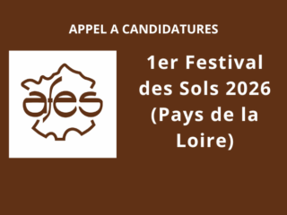festival-sols-2026