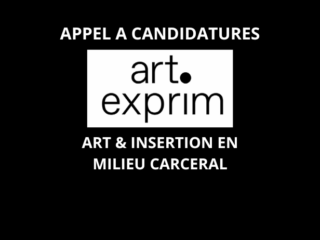 art-insertion-milieu-carceral