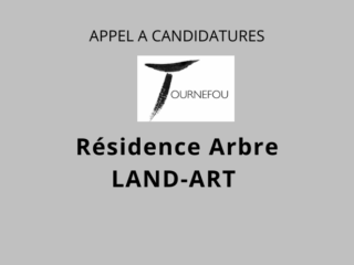 residence-land-art-arbre
