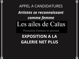 appel-artistes-femme-caius-galerie