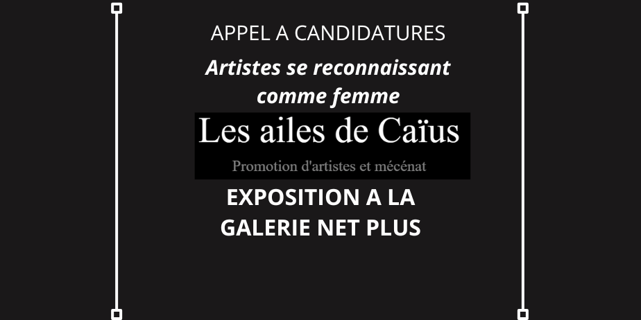 Appel à projets : Exposition personnelle Galerie Net Plus (2026-2027)