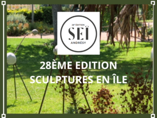 appel-candidature-28-edition-sculptures-en-ile