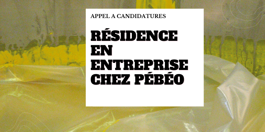 Résidence en entreprise chez Pébéo