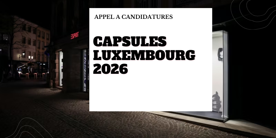 Capsules 2026 – appel à projets pour installations artistiques en vitrine