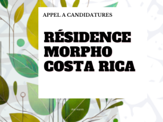 appel-candidature-residence-morpho-costa-rica