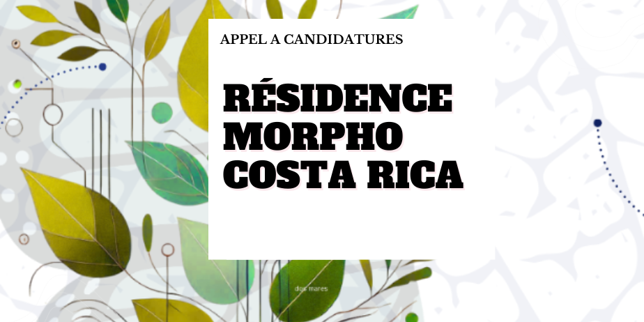 Programme de résidence « Morpho » au Costa Rica
