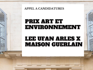 prix-art-environnement-lee-ufan