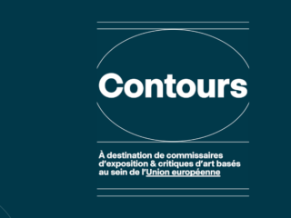 contours-commissaires-critique
